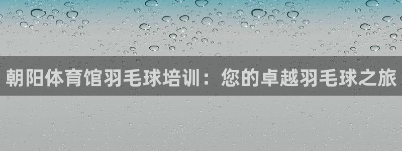 焦点娱乐股东有哪些：朝阳体育馆羽毛球培训：您的卓越羽