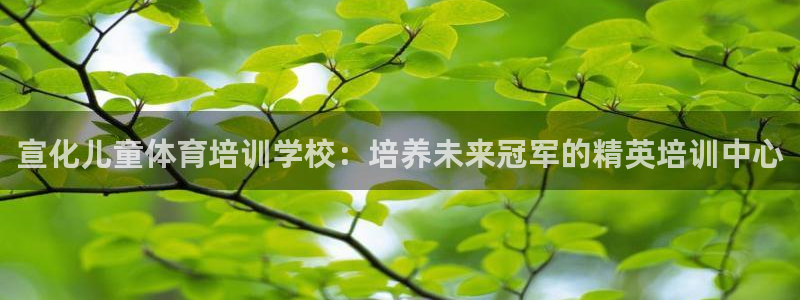 焦点娱乐说说怎么写：宣化儿童体育培训学校：培养未来冠