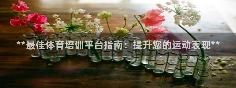 焦点娱乐力 411o31 焦点