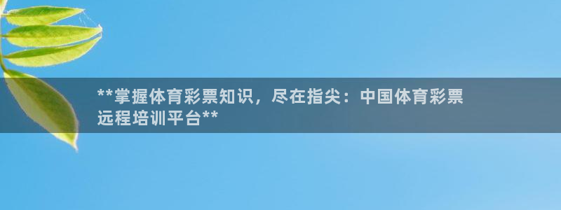 焦点娱乐总代理是谁：**掌握体育彩票知识，尽在指尖：