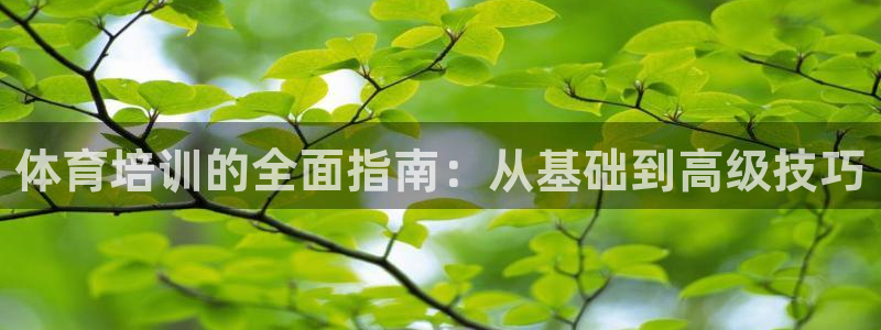 焦点娱乐官网首页下载手机版