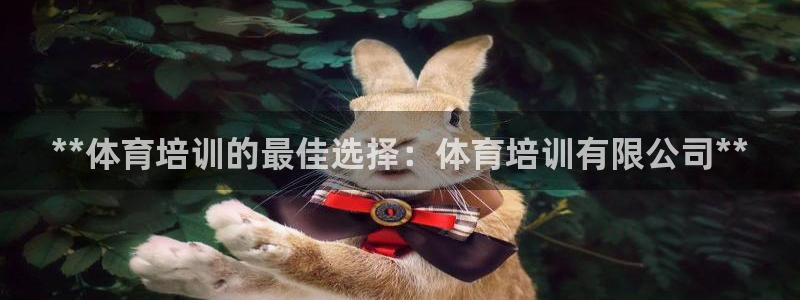 焦点娱乐app下载官网最新版本：**体育培训的最佳选